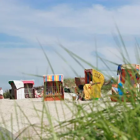 Steiner Strandappartements 208 Sued- Landseite * Stein (Schleswig-Holstein)
